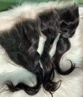 Exclusive HD 6 by 6 Wavy | Slight Wavy Closure